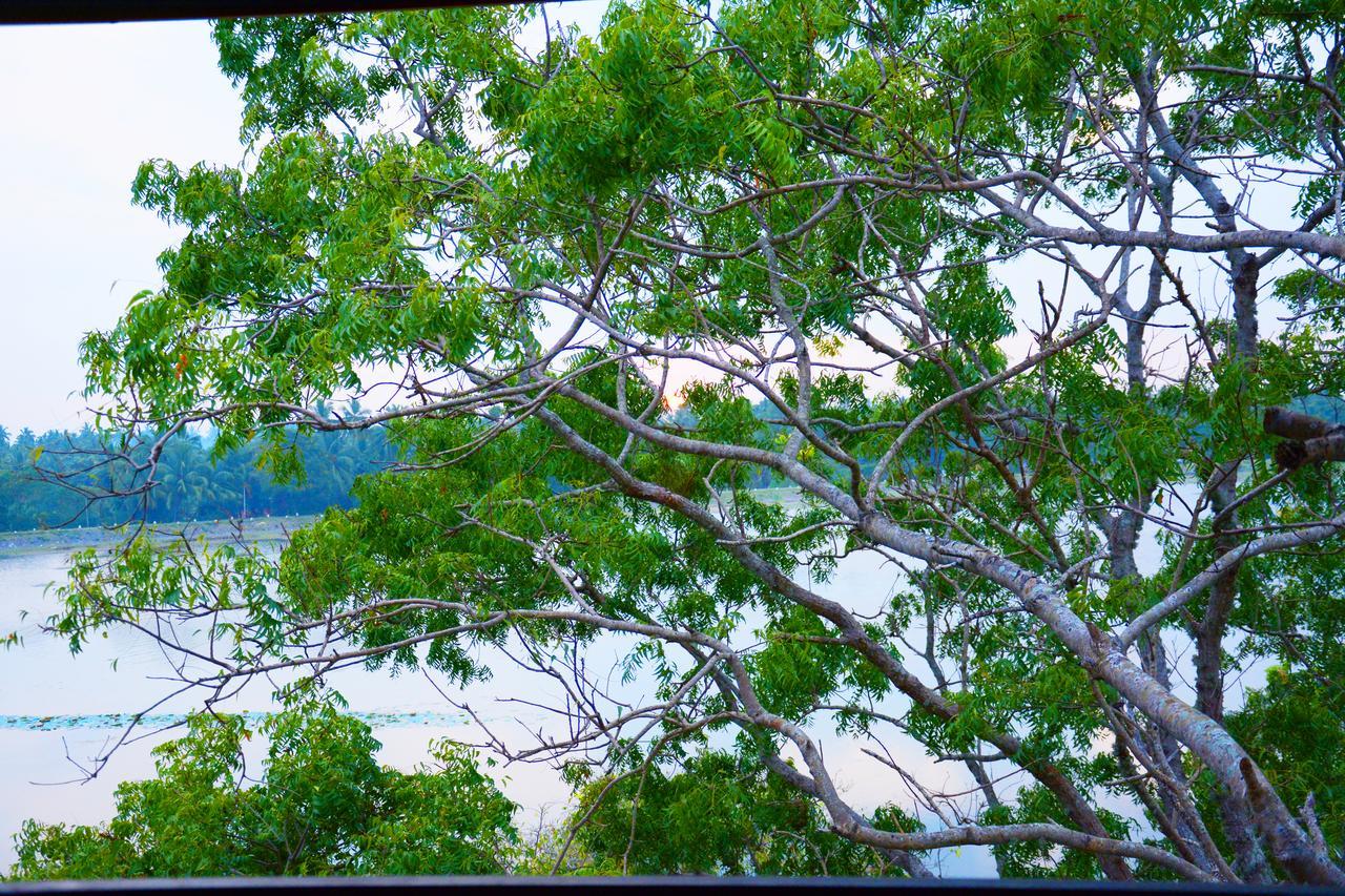 Diya Dahara Lake Resort Yala Eksteriør billede
